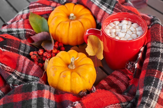 Red mug with cocoa and marshmallows.