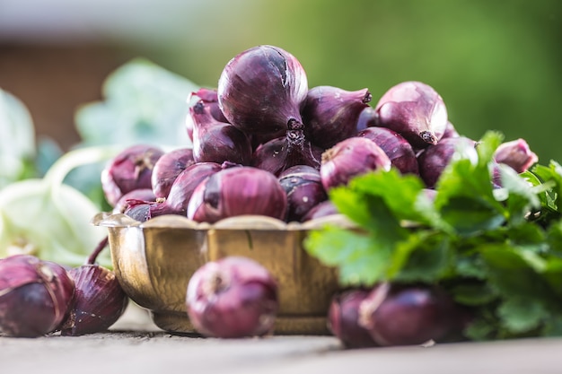 Red onion in bronze bowl on garden table. Close-up fresh healthy vegetable.