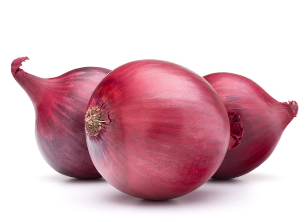 Red onion bulb