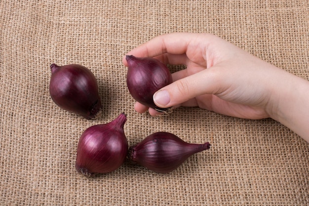 Red onion bulbs in hand on canvas