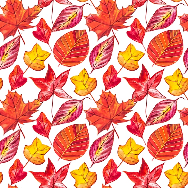 Red and Orange Autumn Leaves Background. Watercolor seamless pattern illustration.