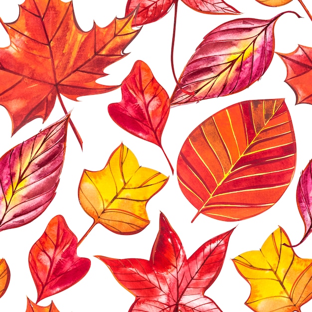 Red and Orange Autumn Leaves Background. Watercolor seamless pattern illustration.