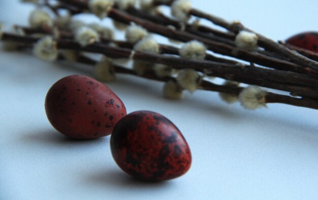 Red painted quail variegated eggs for easter on a light background