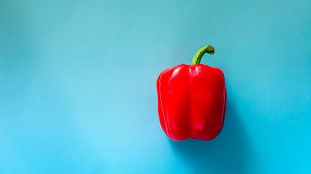 Red paprika chilly pepper on blue background