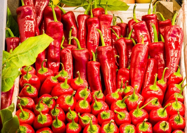 Red pepper found at the market stand