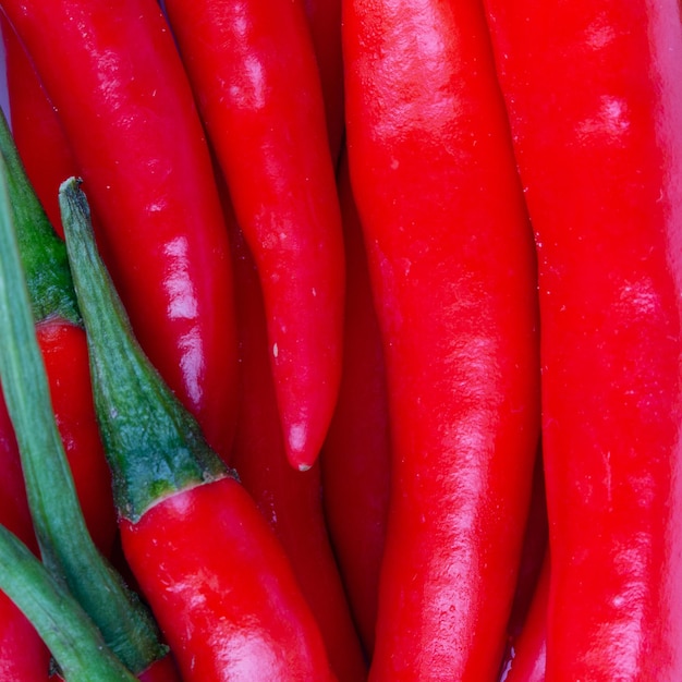 Red pepper pile background closeup texture spicy