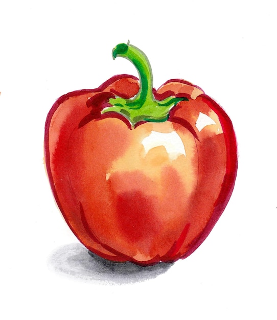 A red pepper with a green stem is on a white background.