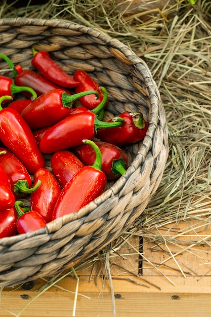 Red peppers in the basket on the market