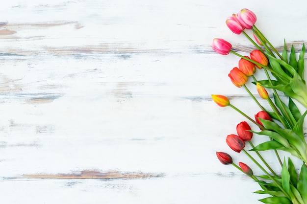 Red and pink tulips on old white wooden board with free space. Easter background. Nature backdrop.