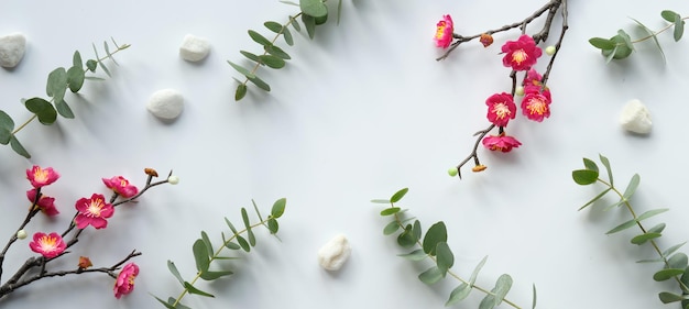 Red plum flowers on twigs fresh eucalyptus leaves Chinese new year design banner