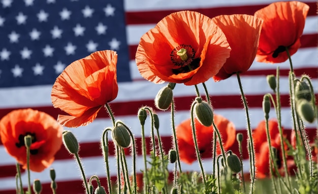 Red poppies blooming in front of american flag