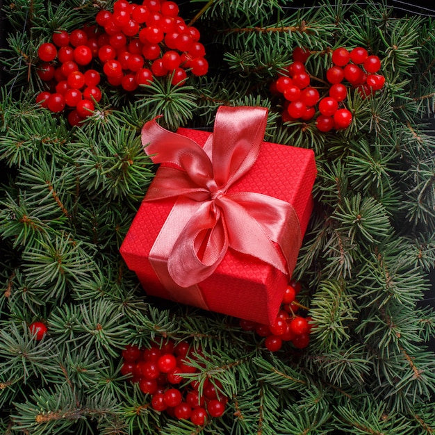 Red present gift box with satin pink bow, immersed in the needles of a Christmas tree decorated with red berries.