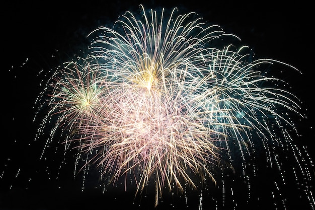 Red and purple colorful holiday fireworks on the black sky background.