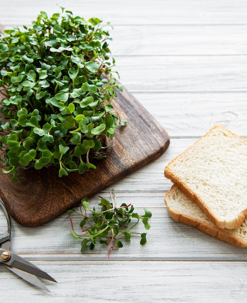 Photo red radish microgreens on a wooden cutting board and bread, healthy concept