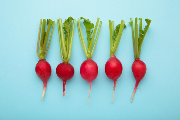 Red radish with leaves on blue background Flat lay