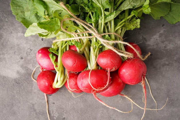 Red radishes bunch on a grey background closeup top view