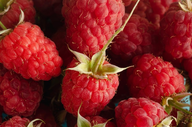 Red raspberries in group Natural fruit Macro photo