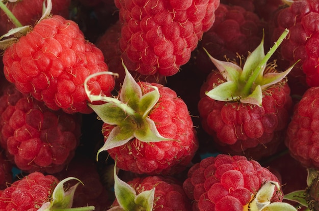 Red raspberries in group Natural fruit Macro photo