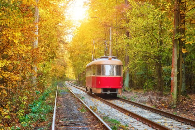 Red retro tram goes along the route