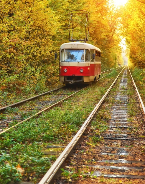 Red retro tram goes along the route