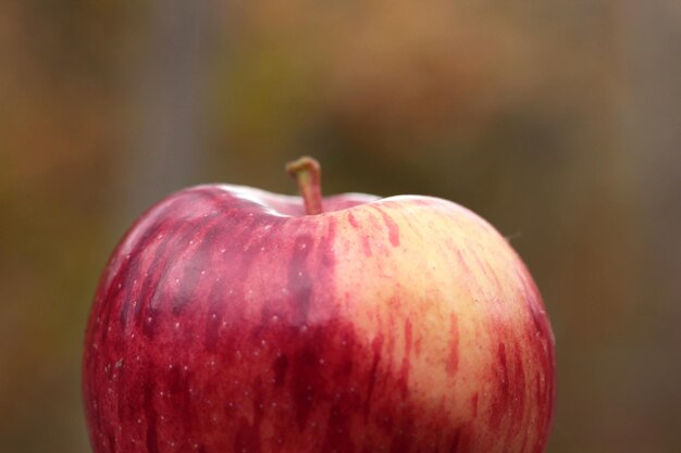 Red ripe apple in nature