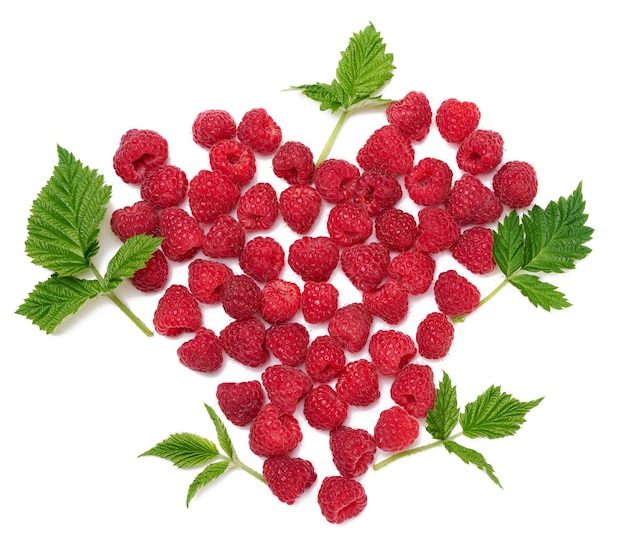 Red ripe raspberries and green leaves on a white background