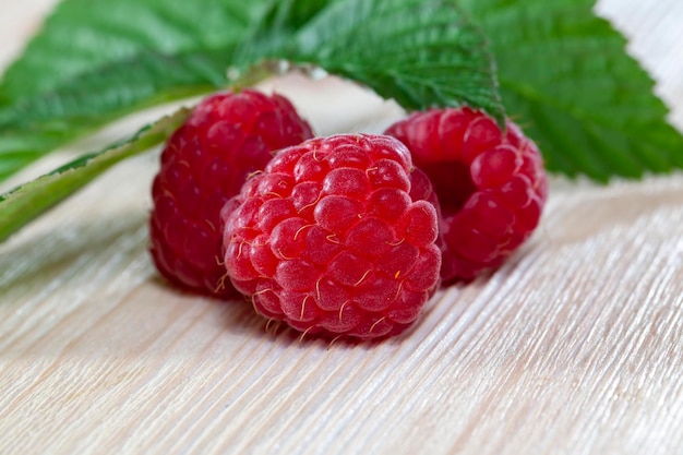 Red ripe raspberries and green raspberry foliage harvested red ripe raspberries on the table