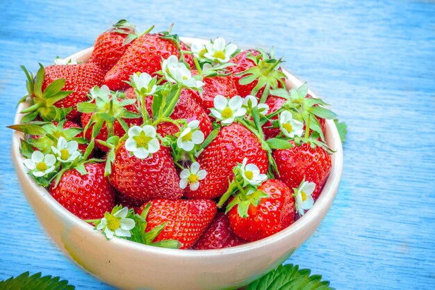 Red ripe strawberries in a clay plate on blue grunge background