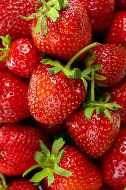 Red ripe strawberries close up