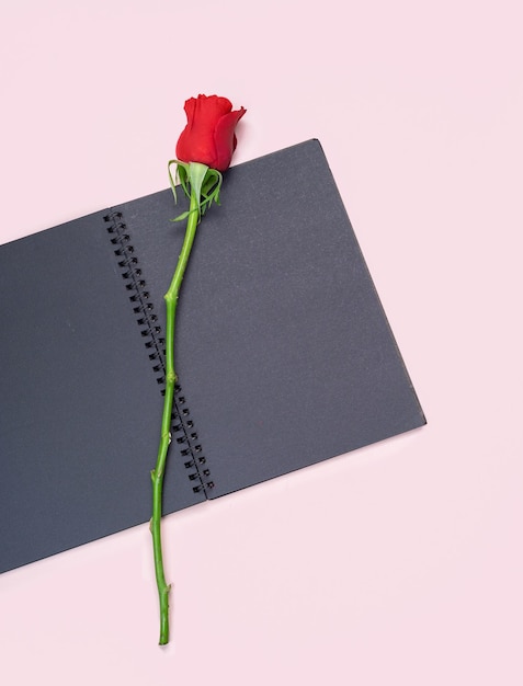 Red rose and blank black paper book on pink background Copy space