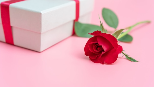 Red rose and gift box on a pink background.