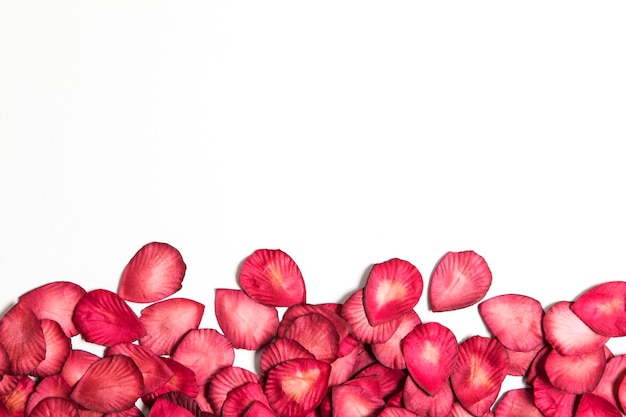 Red rose petals on a plain white background Romantic valentines