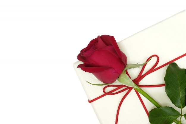 A red rose on a white paper box