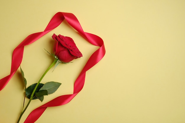 Red rose with a ribbon on a yellow background