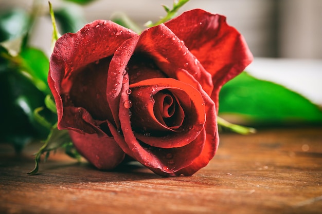 Red rose on wooden table