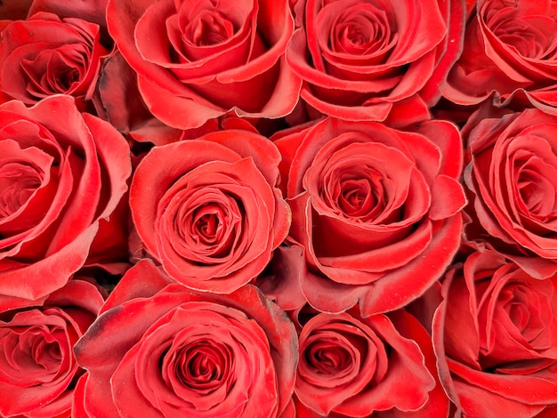 Red roses close up. Selling roses in the store. Bouquets for the holidays. Birthday, mother's day, valentine's day, mother's day.