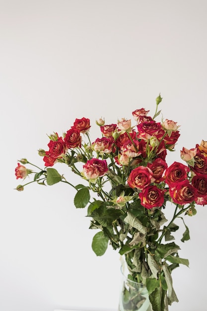 Red roses flowers bouquet on white