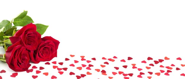 Red roses and hearts on white background