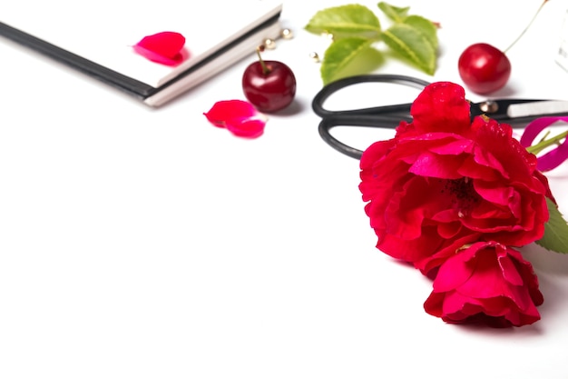 Red roses isolated closeup