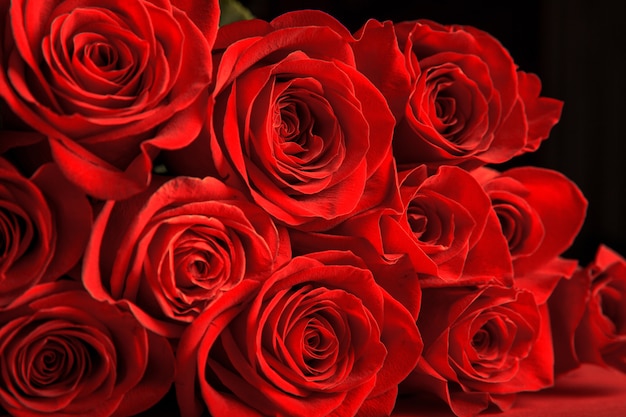 Red roses, Valentine's Day