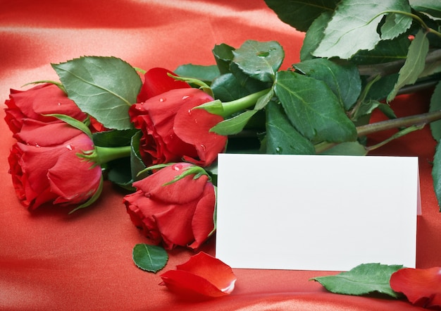 Photo red roses and white card with a place for a congratulatory text