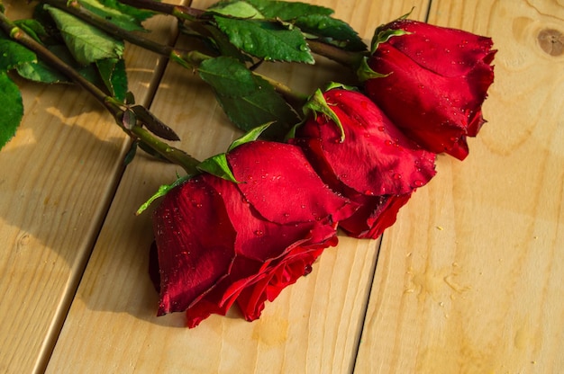 Red roses on wooden Board Valentines Day background wedding day