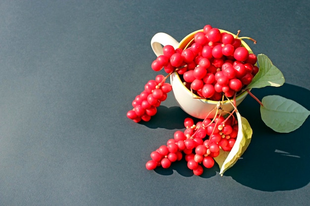 Photo red schizandra in cup on dark background crop of schizandra berries of schizandra ripe schicandra close up