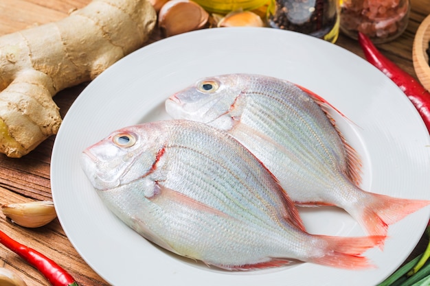 Red sea bream