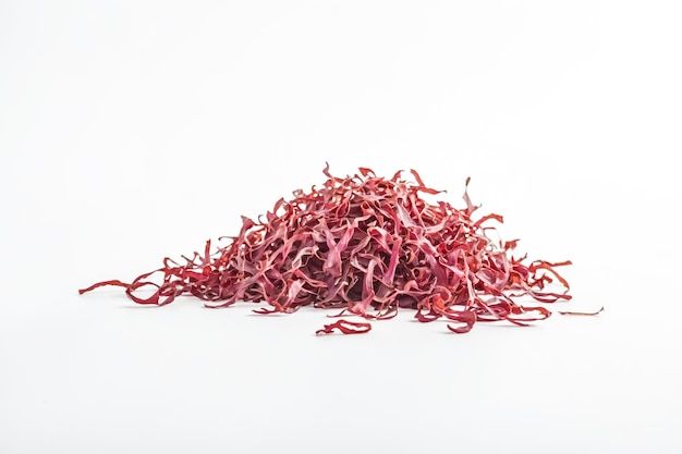 Red Seaweed on White Background