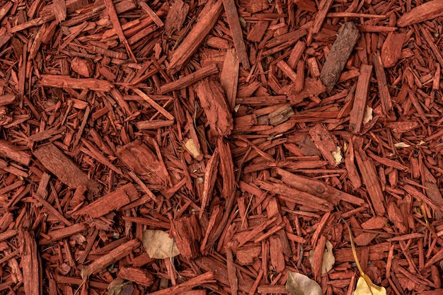 Red shavings from the bark of a tree on the ground Background image