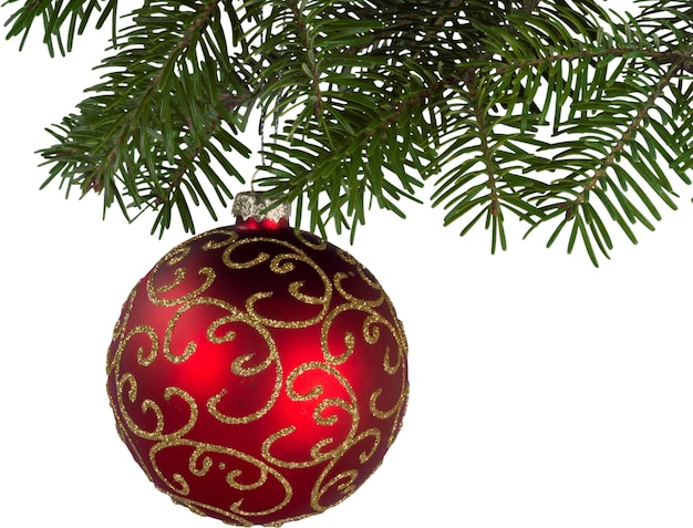 Red shiny christmas decorative ball  hanging on fit tree branch isolated on white