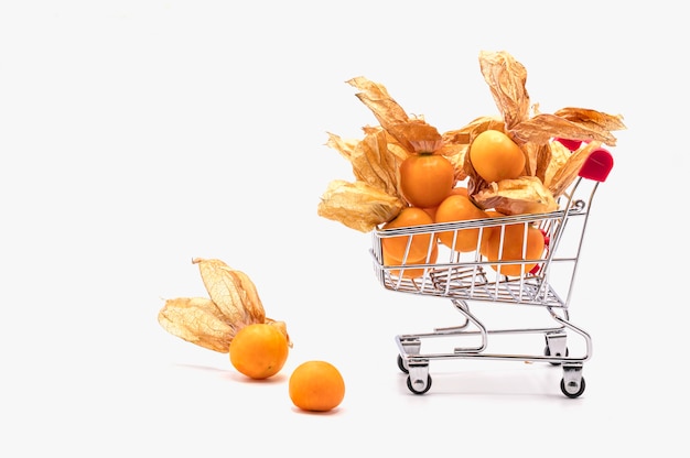 Red shopping cart and cape gooseberry fruits