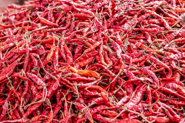 Red spicy chili peppers under the bright sunlight close up shot with selective focus