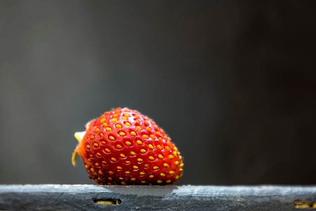 Red strawberries on a black blurred background